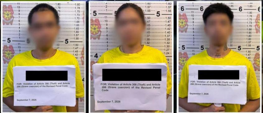 3 Kalaboso sa pagnanakaw, pangongotong sa South African