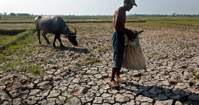 Palace ramps up El Nino preparations as climate risks grow