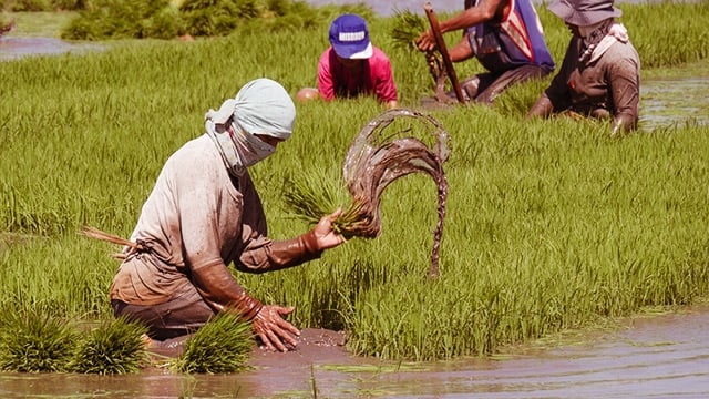 P16.9-B DAR budget targets farmers’ land, debt relief